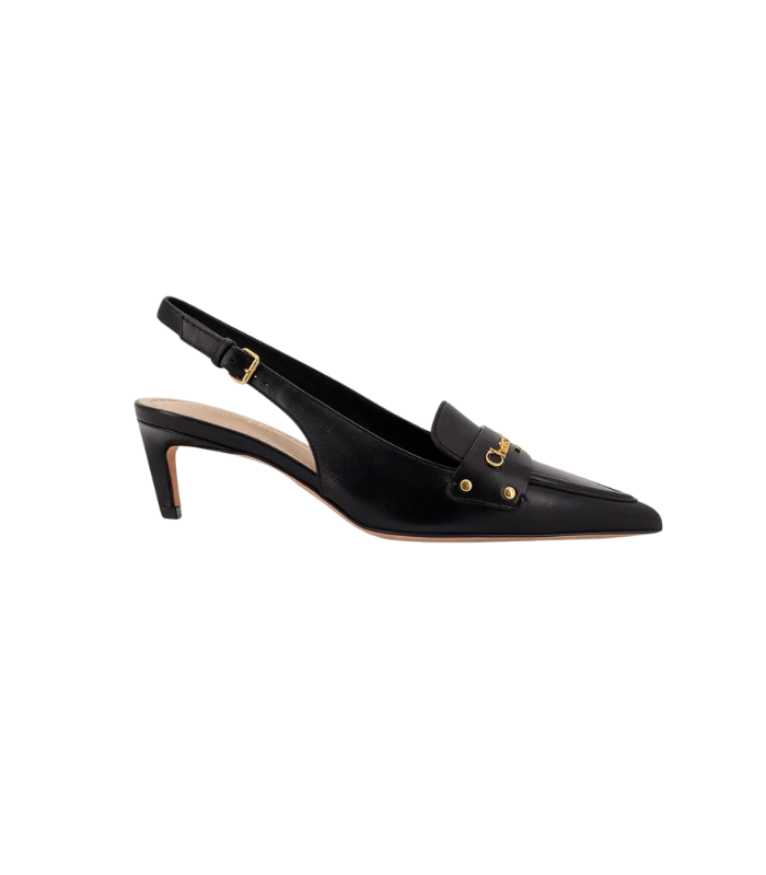 dior-boy-slingback-heel-2025-1 كعب ديور بوي سلينغ باك متعدد الألوان لخريف 2025