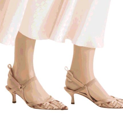 المقدمة المدببة الأنثوية في حذاء فيندي كوليبري