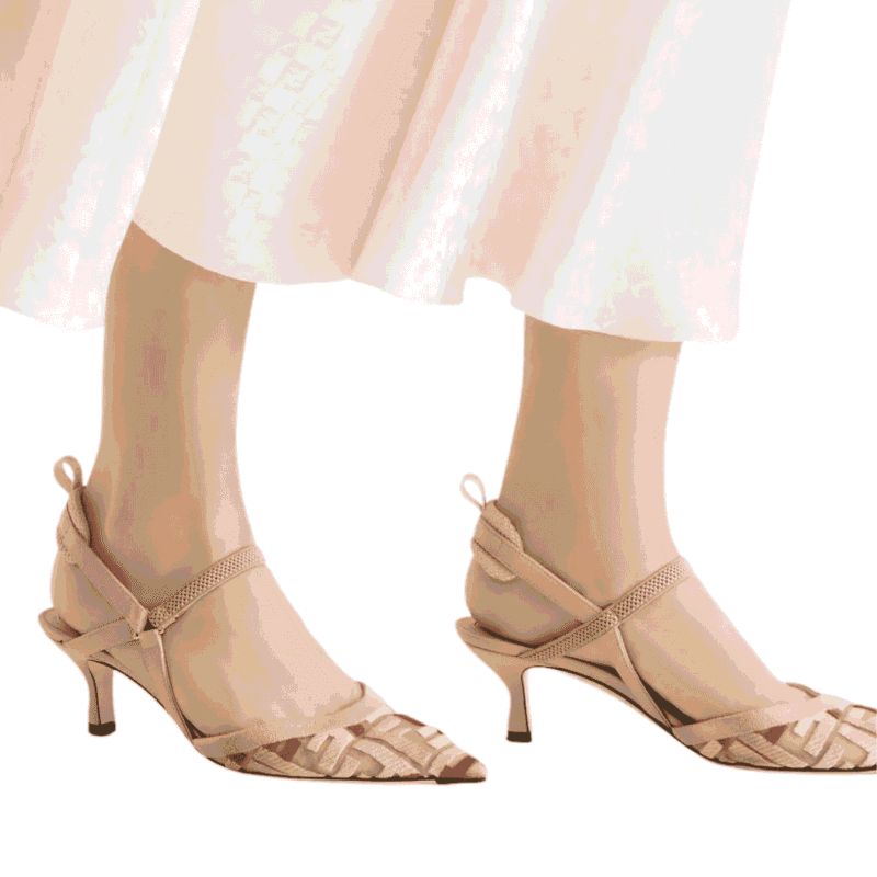 المقدمة المدببة الأنثوية في حذاء فيندي كوليبري